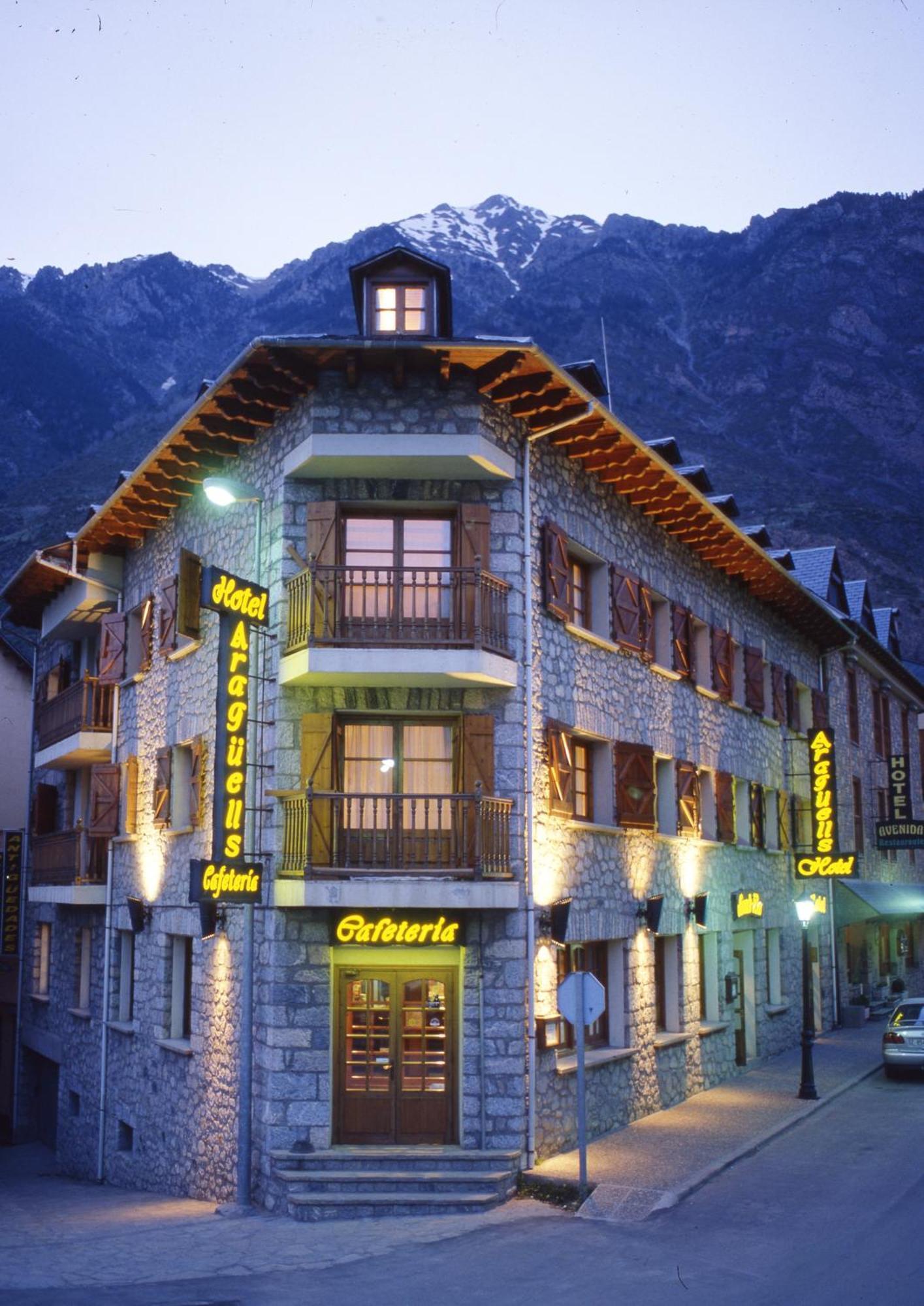 Hotel Aragueells Benasque Bagian luar foto